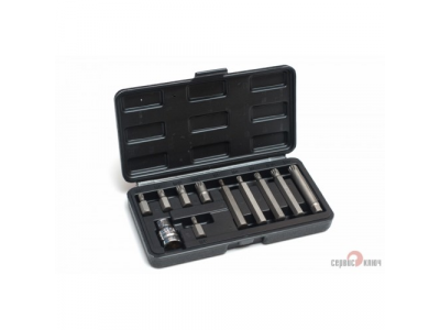 СЕРВИС КЛЮЧ 76441 Набор бит